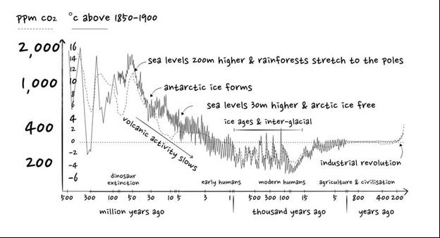 A picture containing chart Description automatically generated